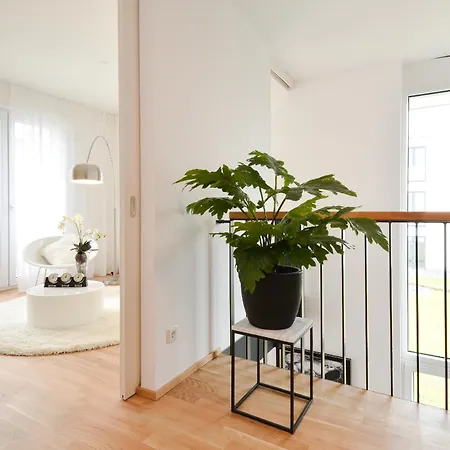 Apartment Lunas *
